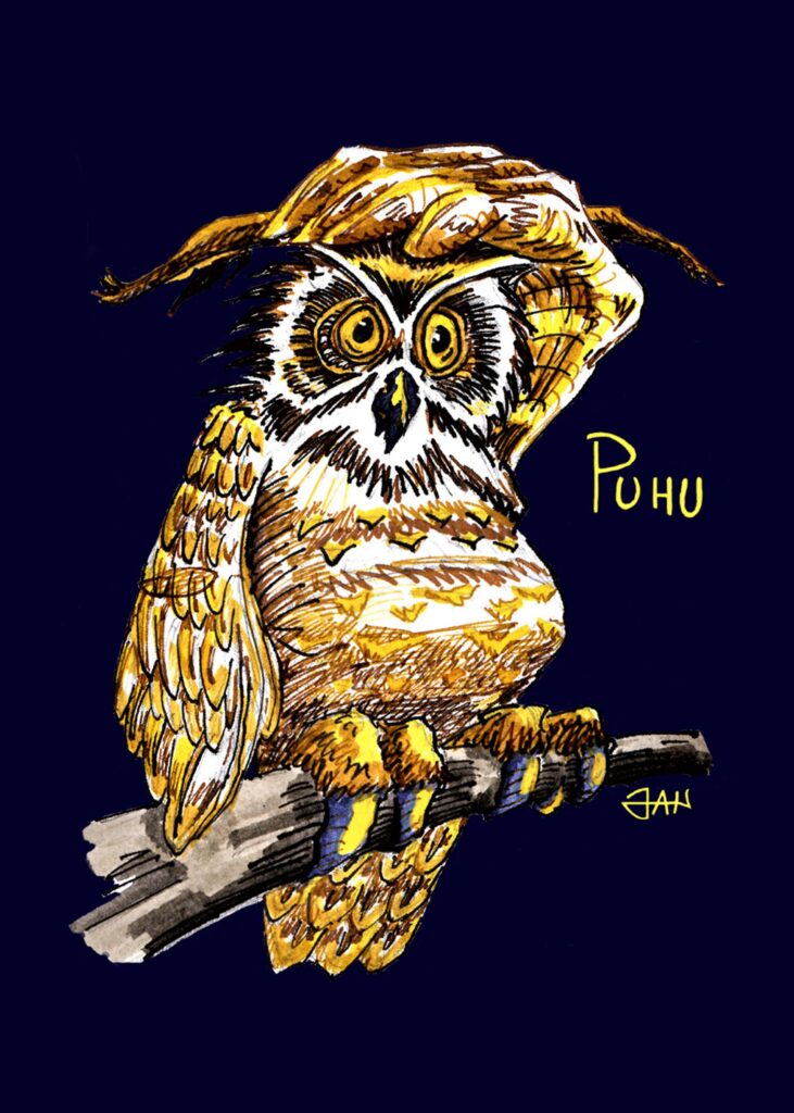 Puhu